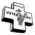 le site de la Clinique Vétérinaire de Massiac