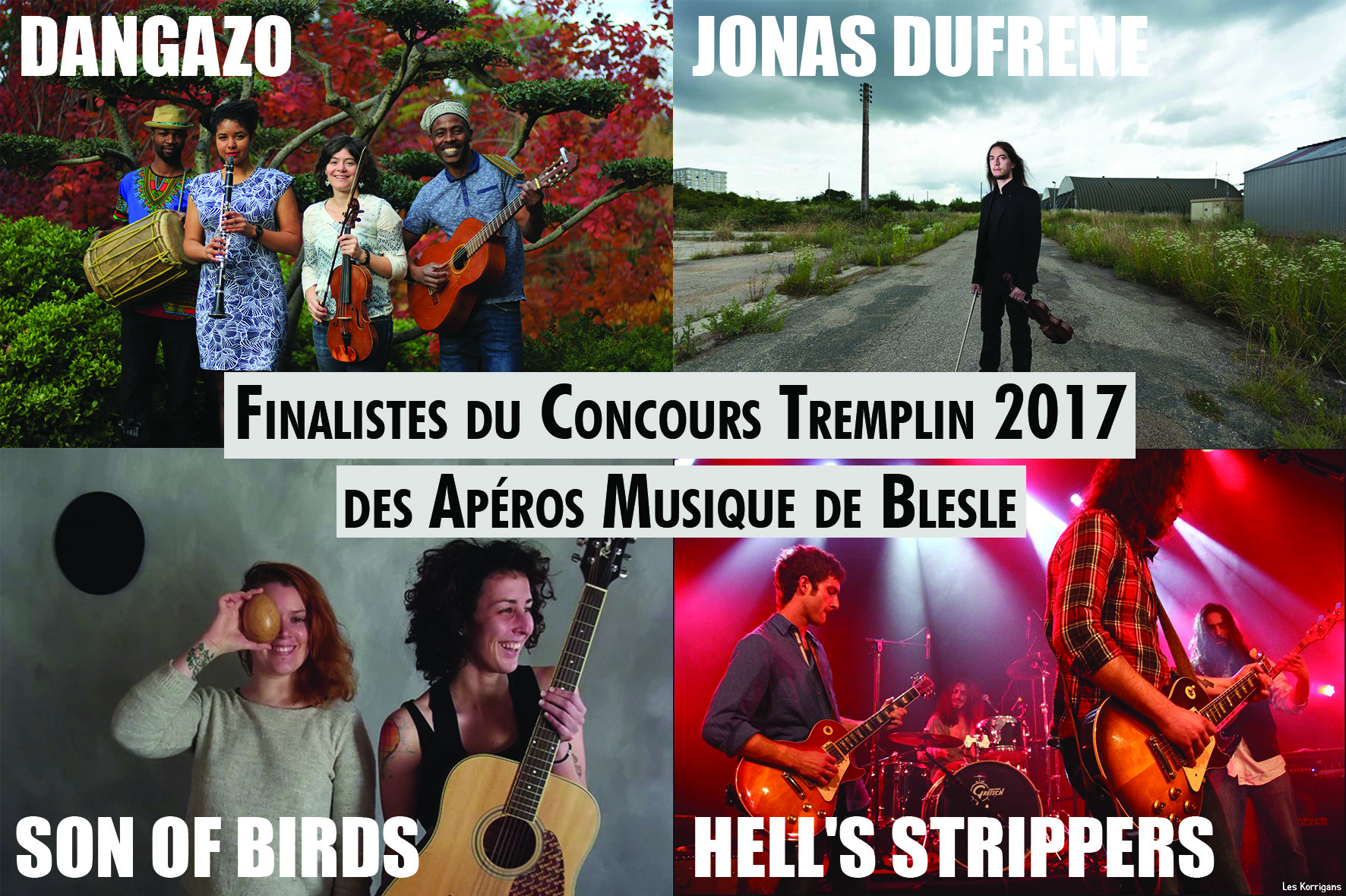 Finalistes du concours Tremplin de l'association Les Apéros Musique de Blesle, Auvergne 2017