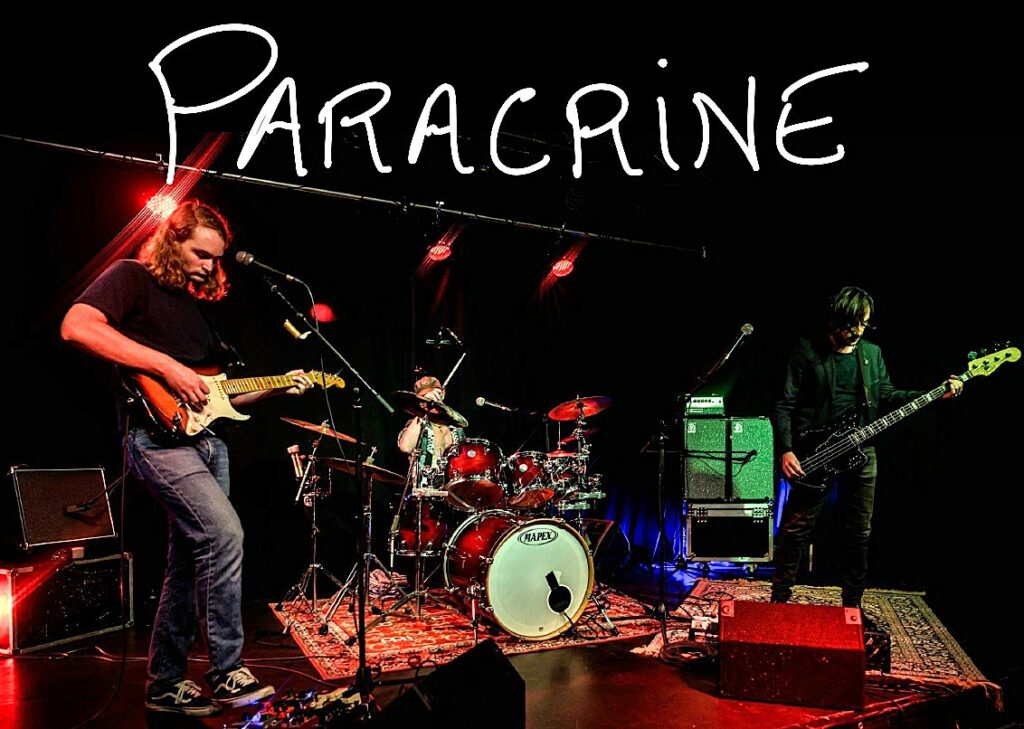 Paracrine au festival des Apéros Musique
